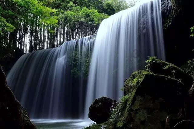 巫师之徒